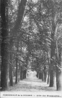 Trevoux, Allee du pensionnat Sidoine (ancienne carte postale)